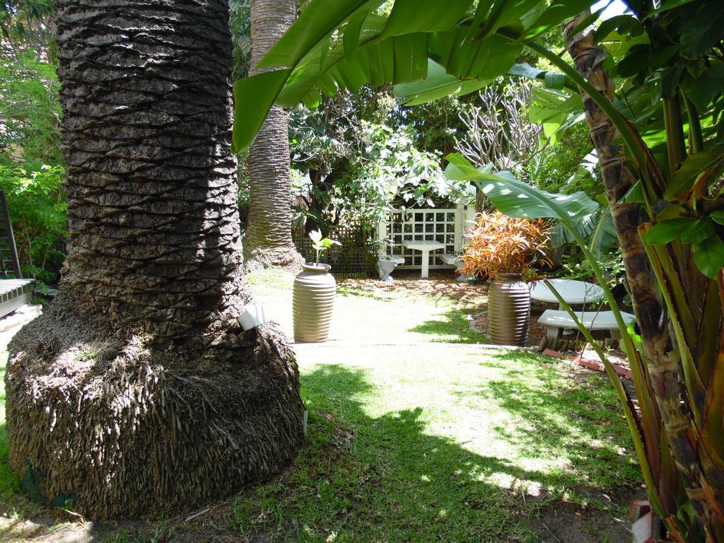Albatross Guest House Cape Town Luaran gambar